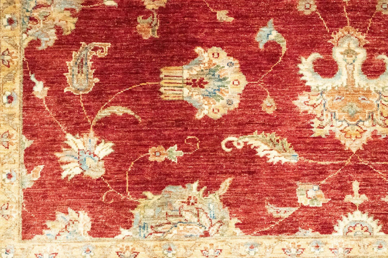 Tappeto Ziegler - 305 x 209 cm - rosso
