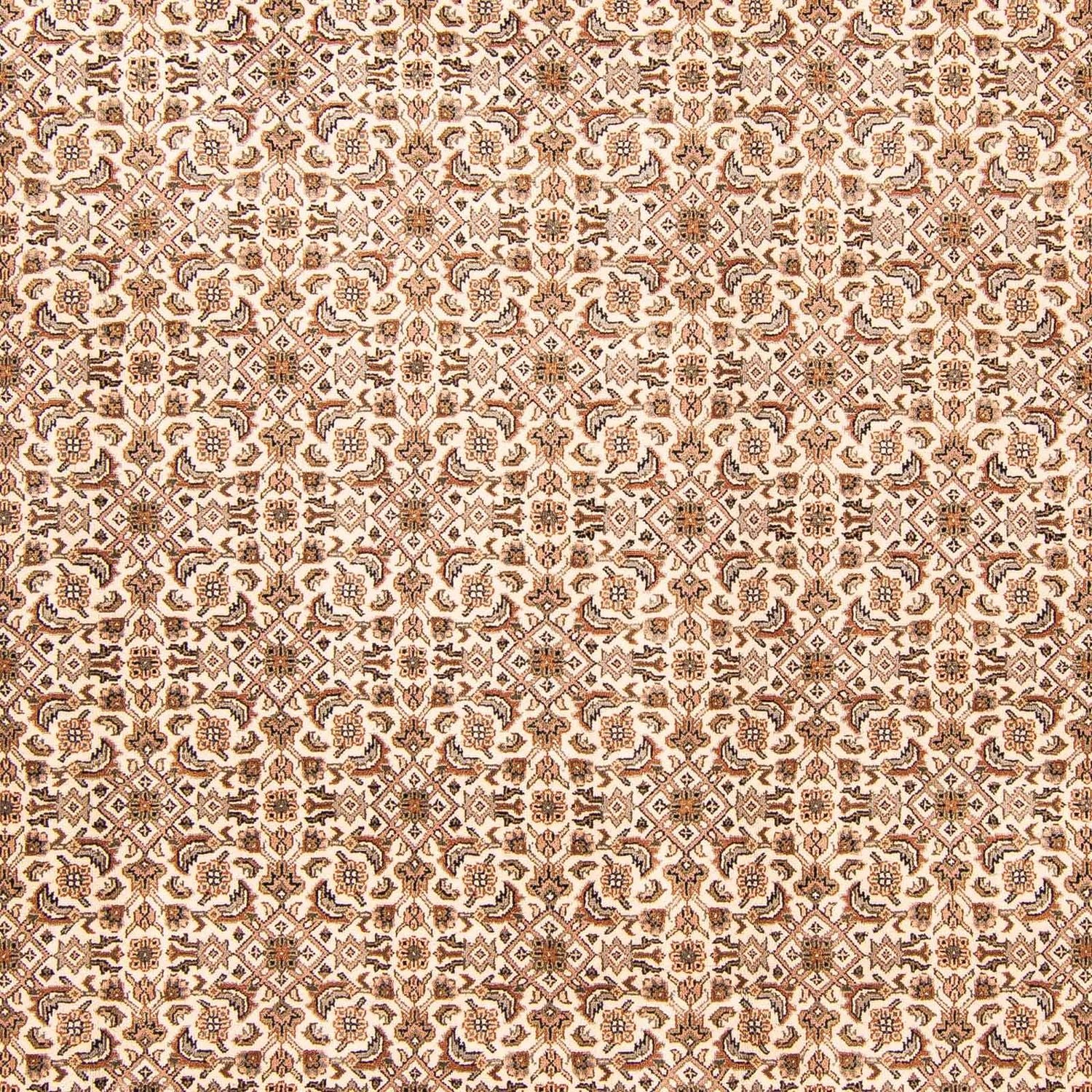 Tappeto orientale - Bidjar - Indo - 303 x 248 cm - beige