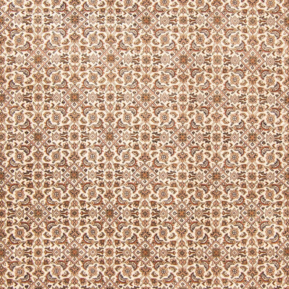 Tappeto orientale - Bidjar - Indo - 303 x 248 cm - beige