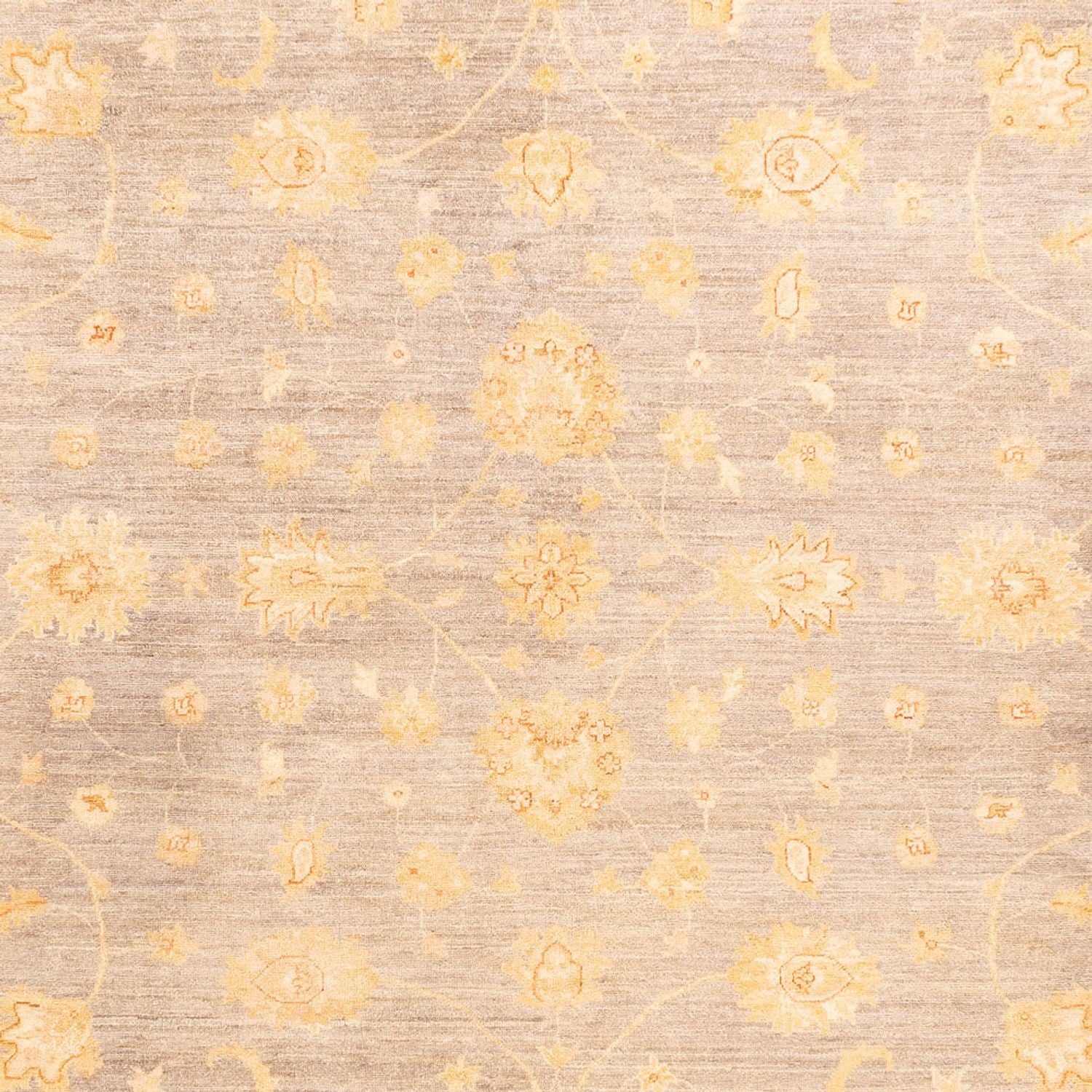Tappeto Ziegler - 354 x 260 cm - beige