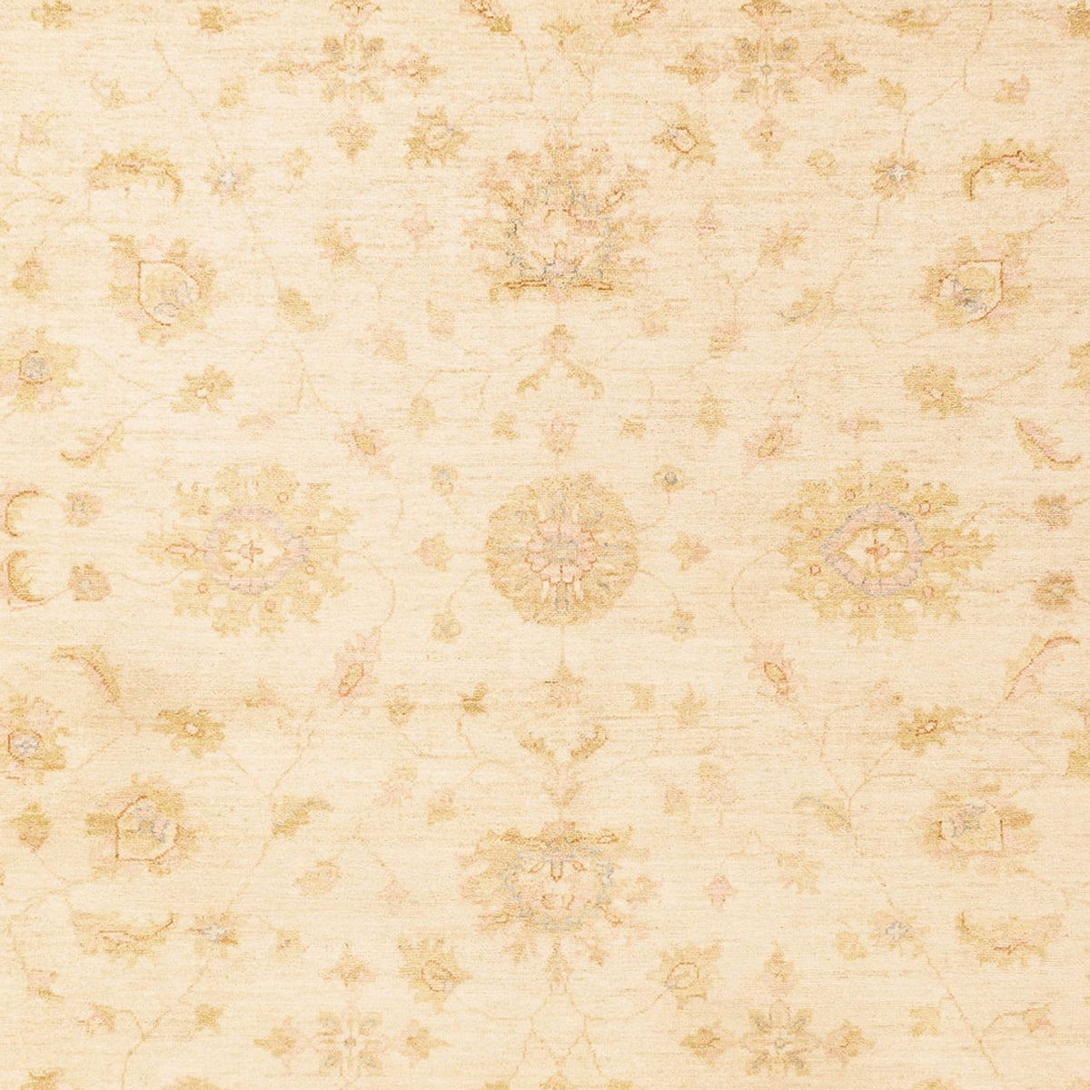 Tappeto Ziegler - 344 x 254 cm - beige