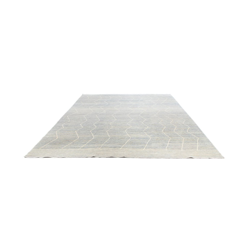 Tappeto Ziegler - Moderno - 346 x 256 cm - taupe
