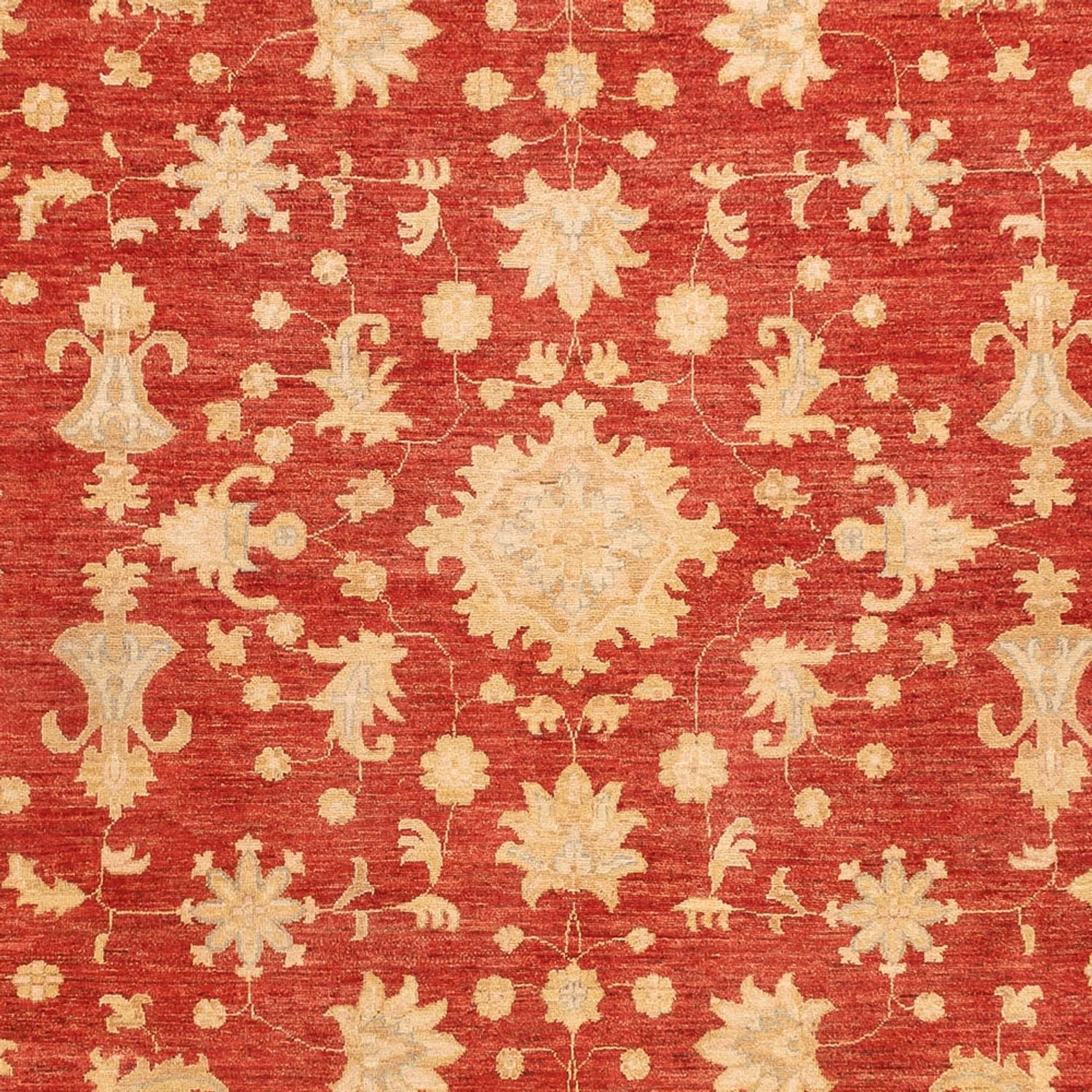 Tappeto Ziegler - 343 x 254 cm - rosso