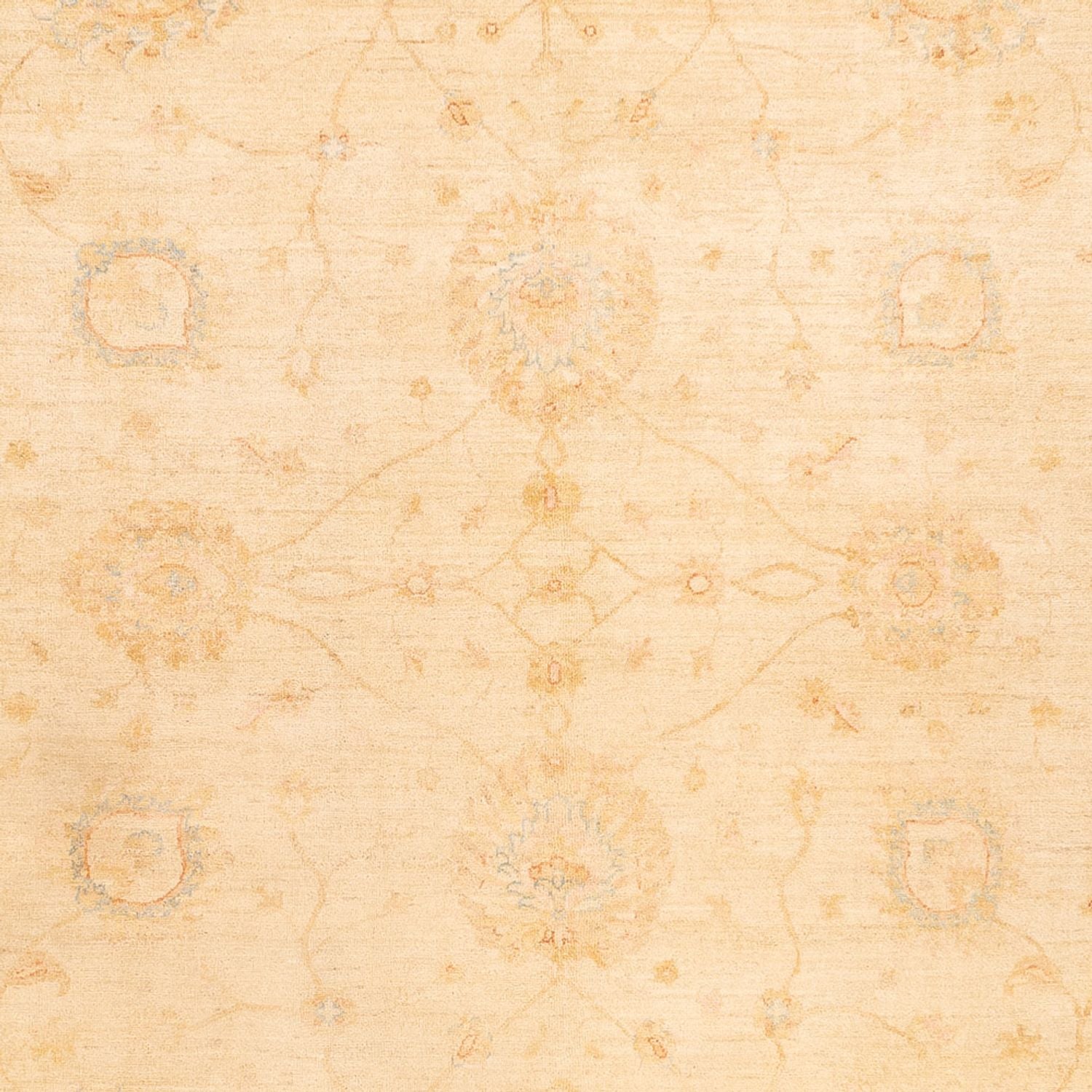 Tappeto Ziegler - 347 x 256 cm - beige