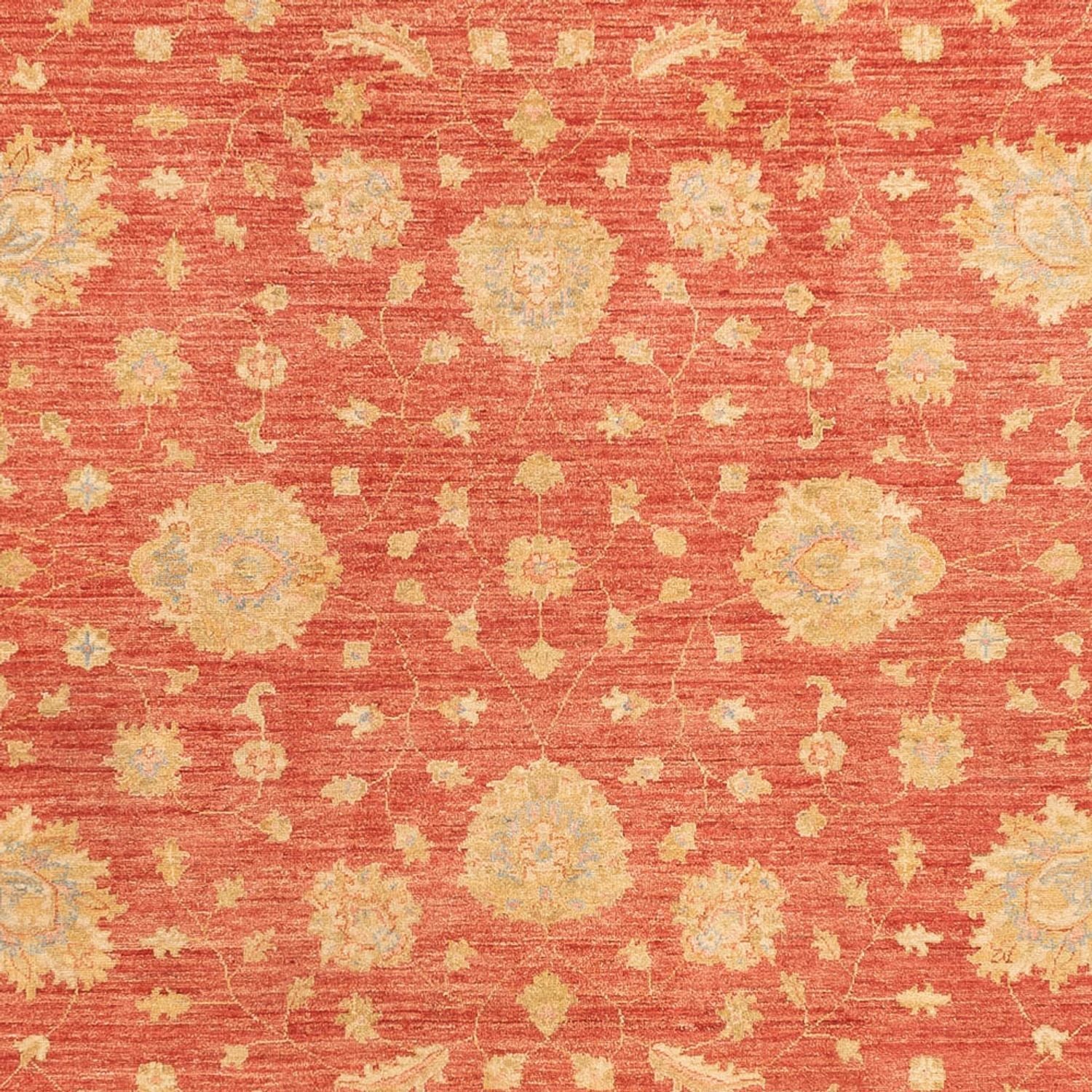 Tappeto Ziegler - 344 x 257 cm - rosso