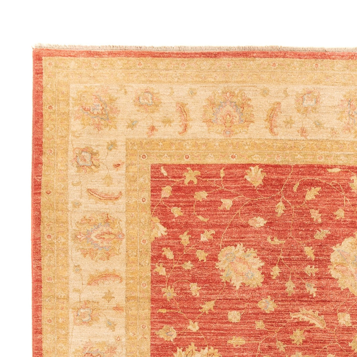 Tappeto Ziegler - 344 x 257 cm - rosso