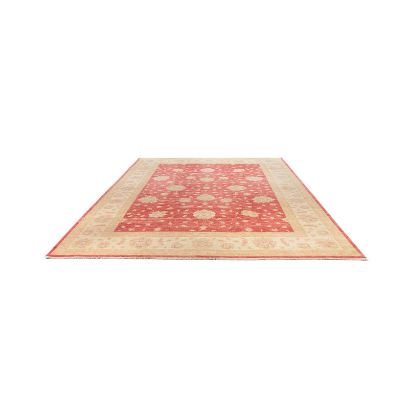 Tappeto Ziegler - 344 x 257 cm - rosso