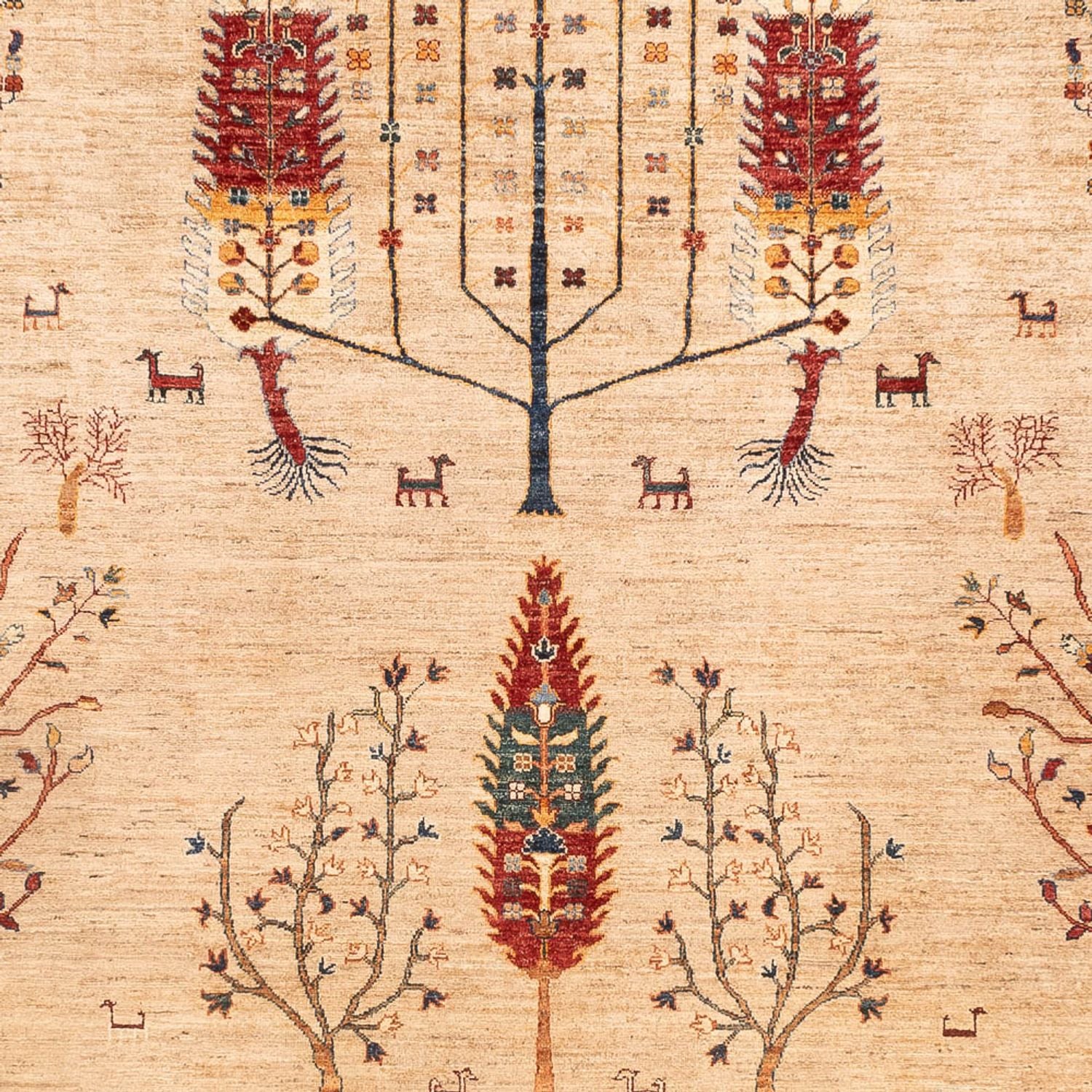 Tappeto Ziegler - Ariana - 352 x 241 cm - beige