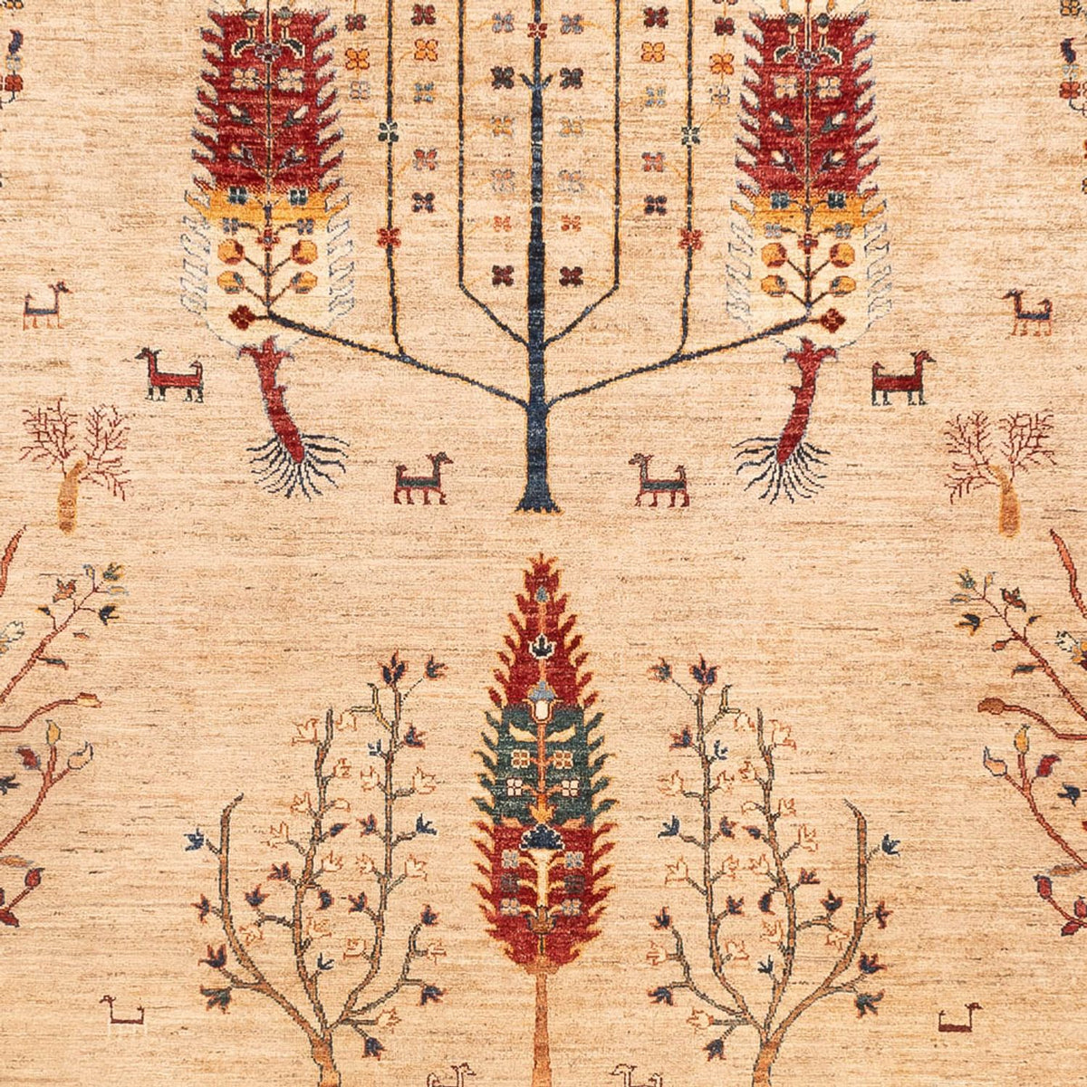 Tappeto Ziegler - Ariana - 352 x 241 cm - beige