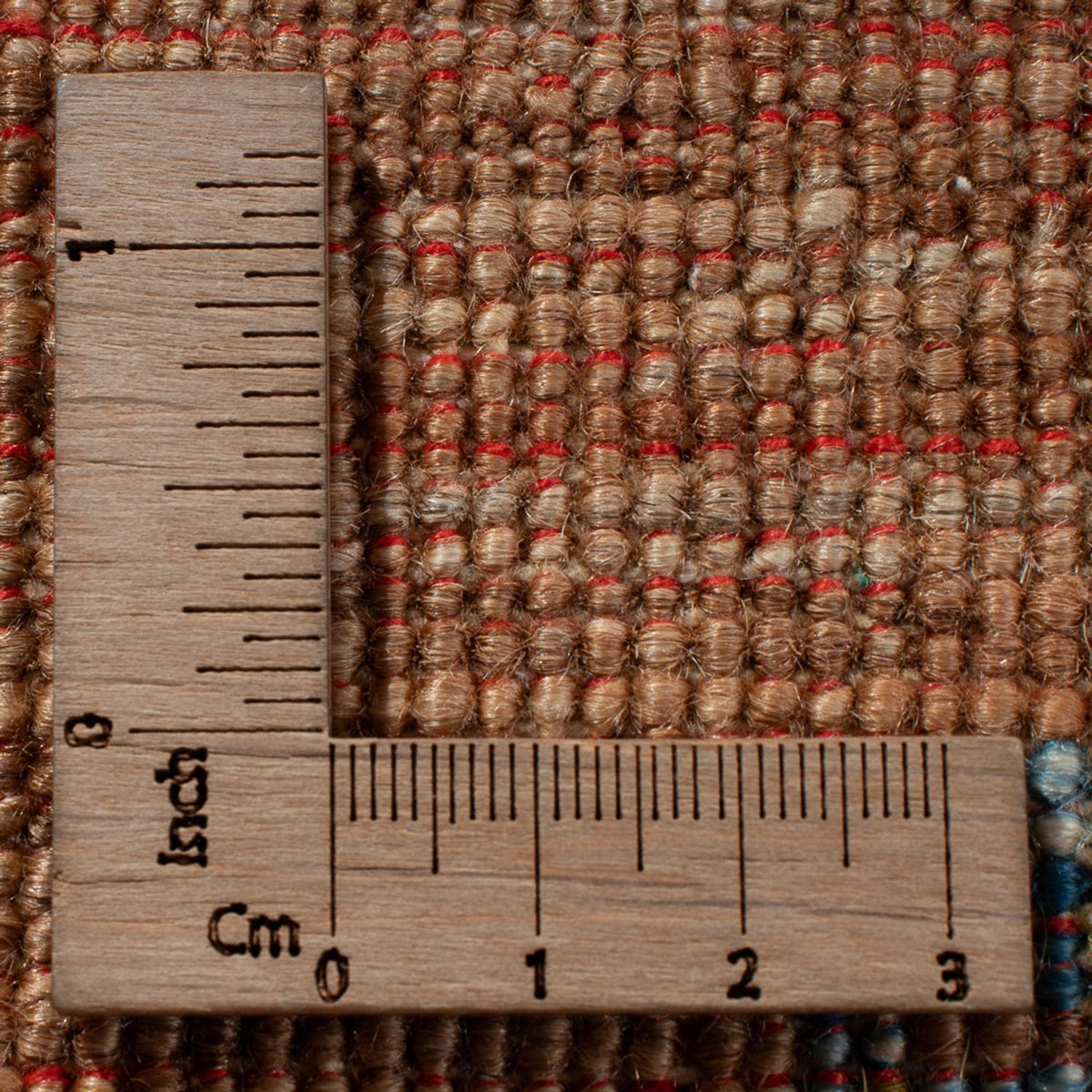 Tappeto Ziegler - Ariana - 348 x 244 cm - beige scuro