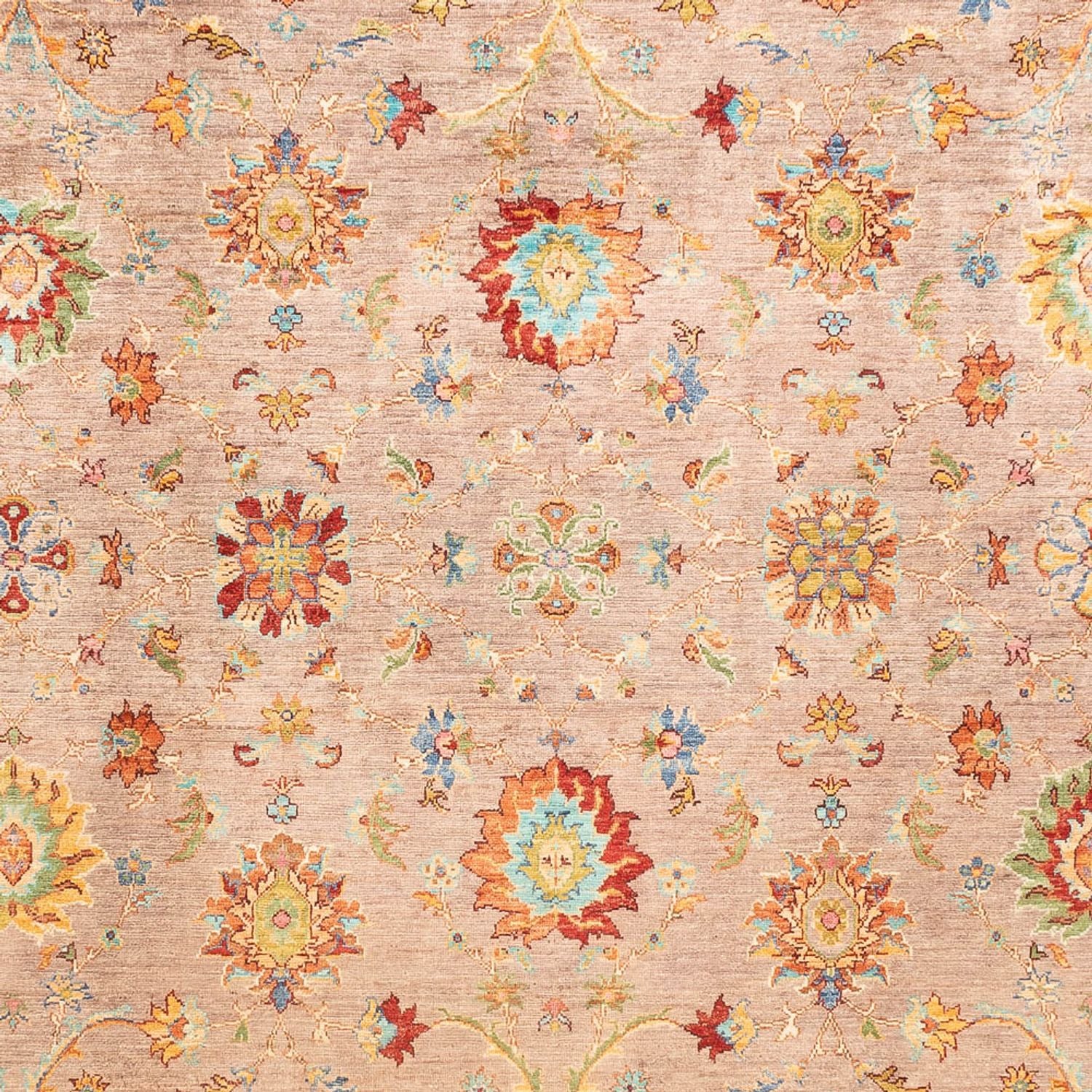 Tappeto Ziegler - Ariana - 347 x 240 cm - marrone chiaro