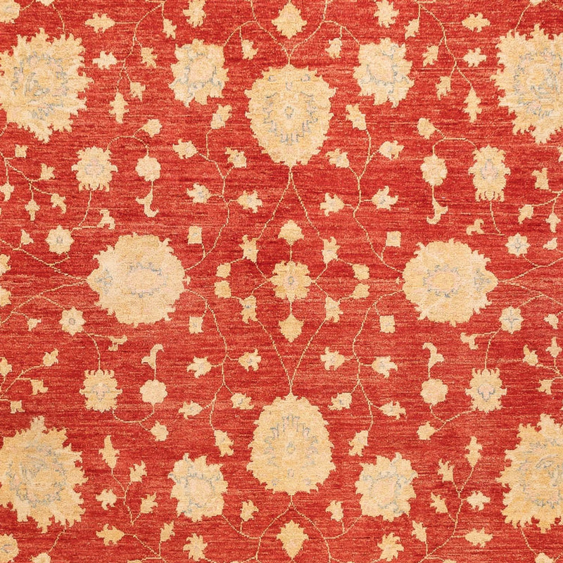 Tappeto Ziegler - 355 x 254 cm - rosso