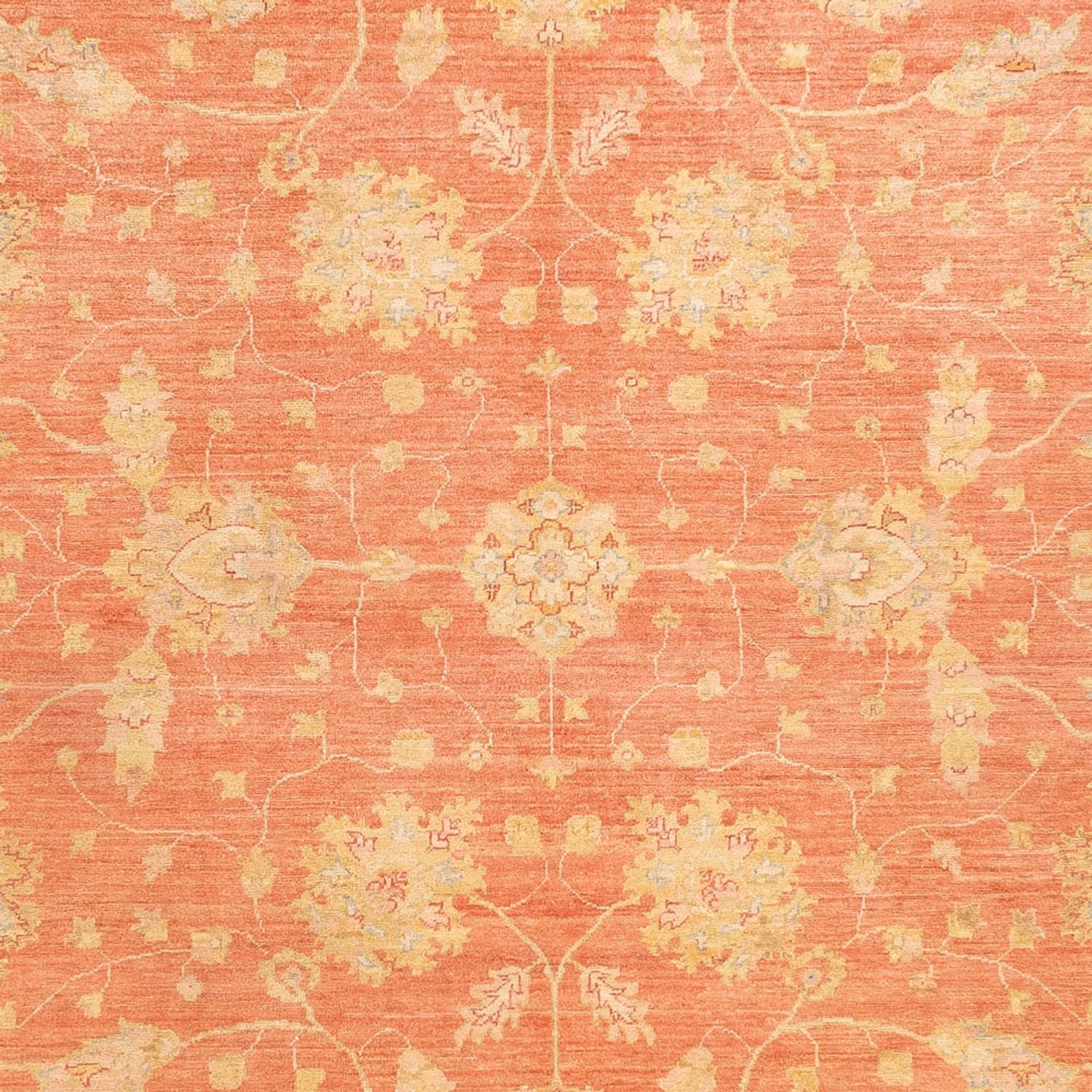 Tappeto Ziegler - 342 x 256 cm - rosso