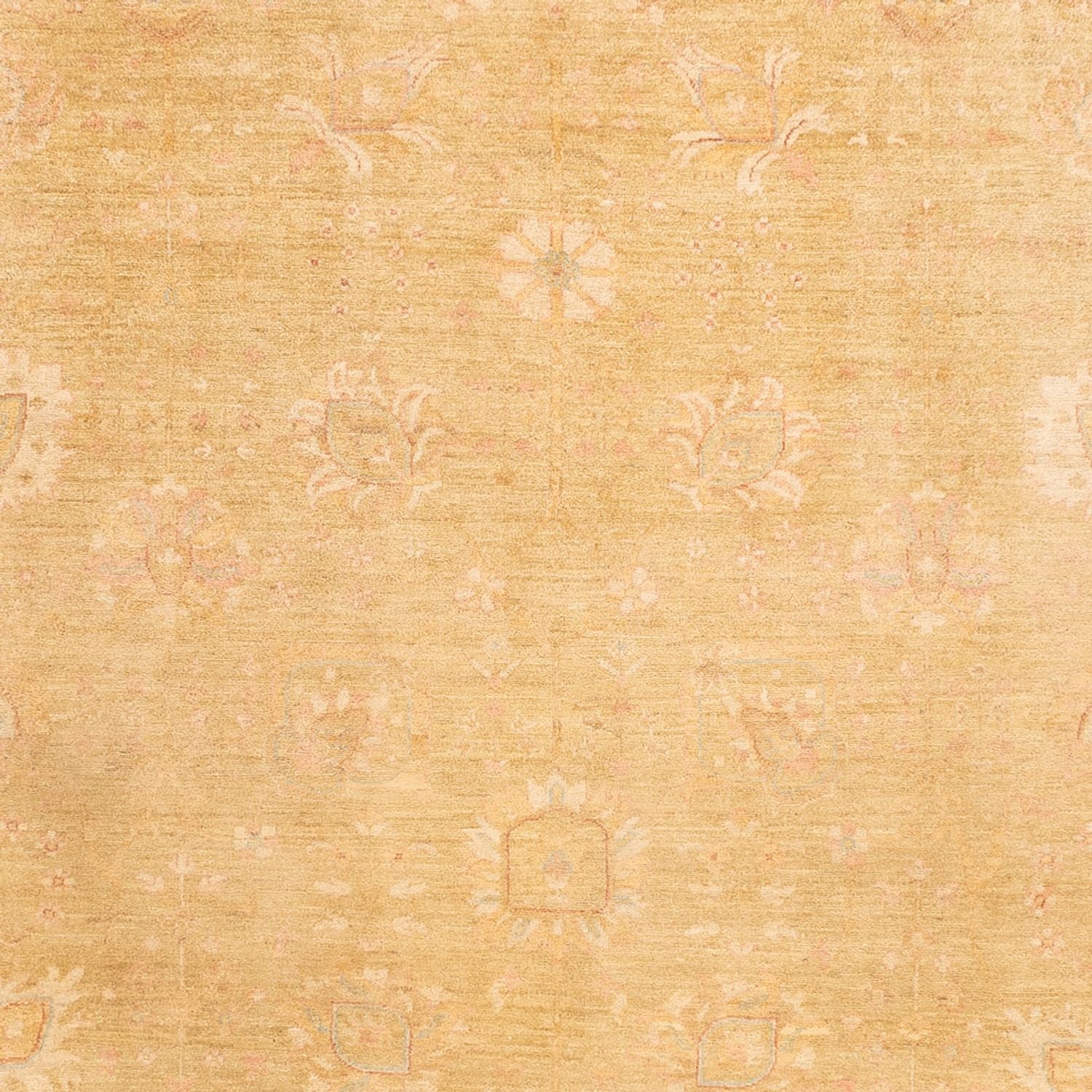 Tappeto Ziegler - 339 x 258 cm - beige
