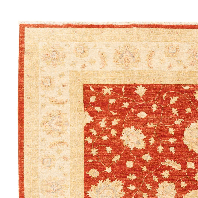 Tappeto Ziegler - 336 x 258 cm - rosso