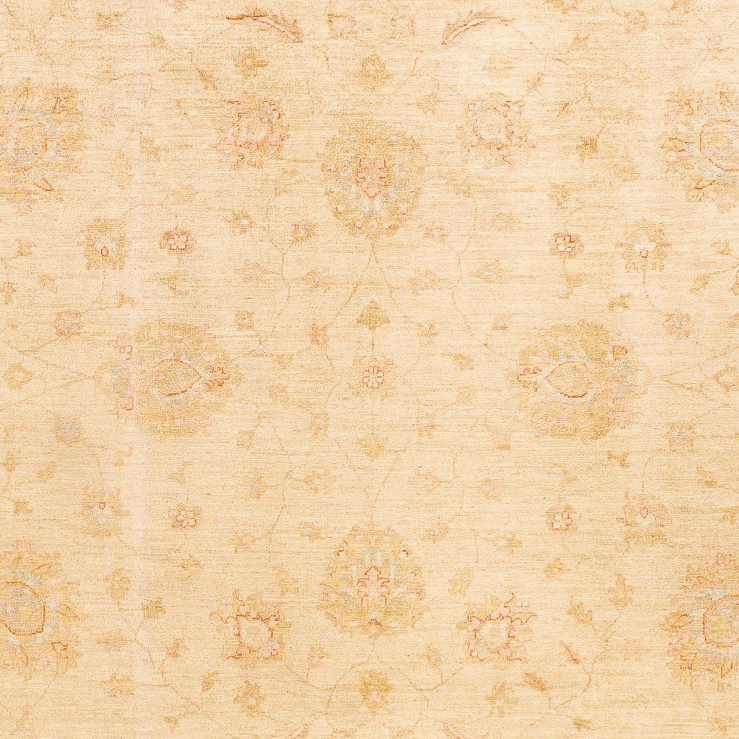 Tappeto Ziegler - 348 x 257 cm - beige