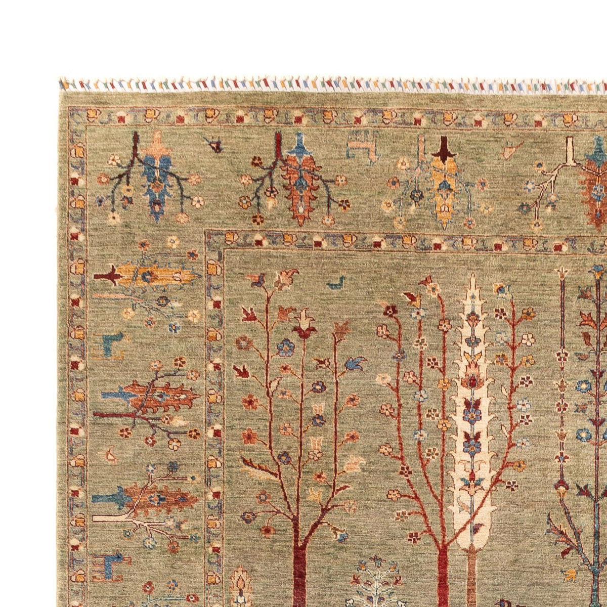 Tappeto Ziegler - Ariana - 339 x 245 cm - sabbia