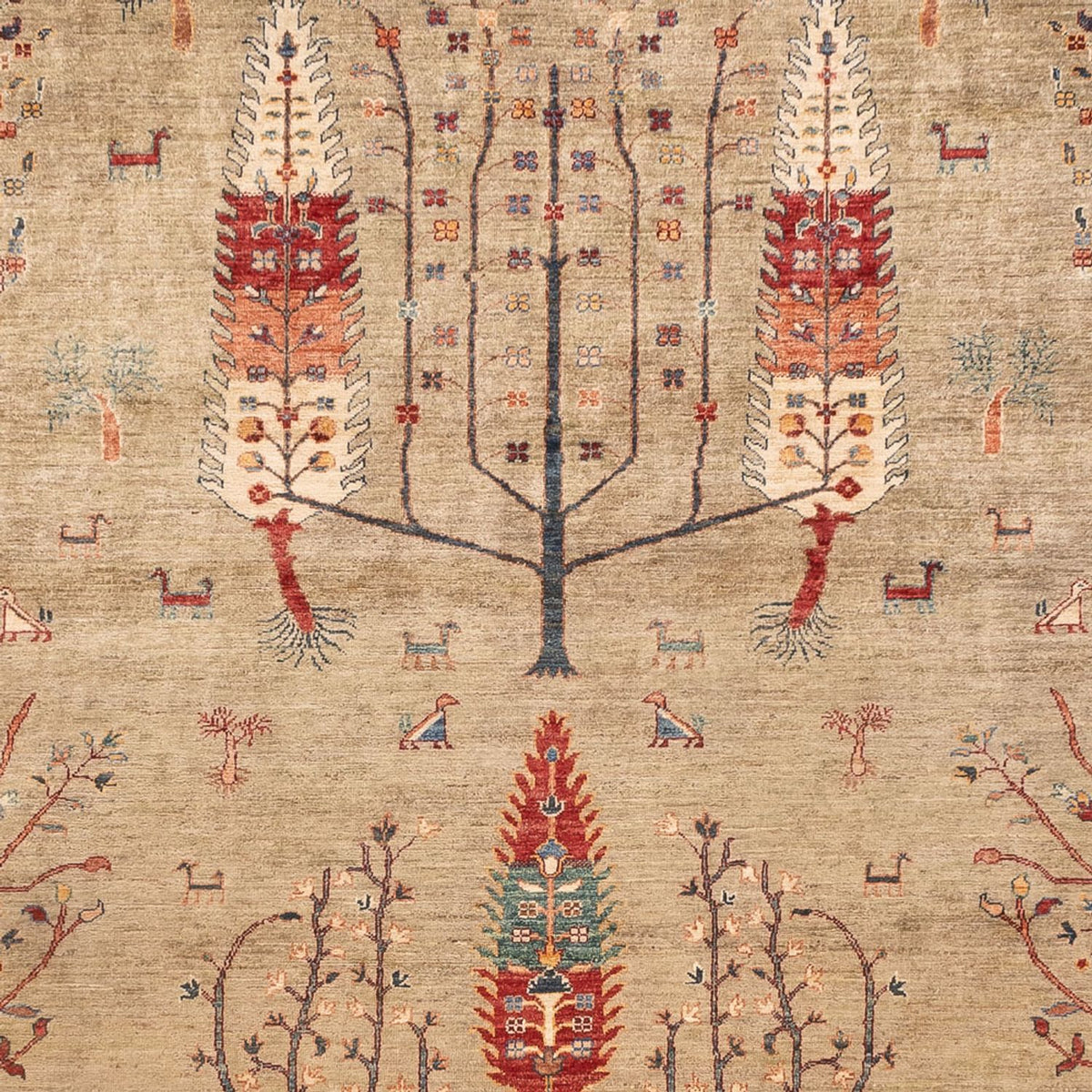 Tappeto Ziegler - Ariana - 342 x 246 cm - sabbia