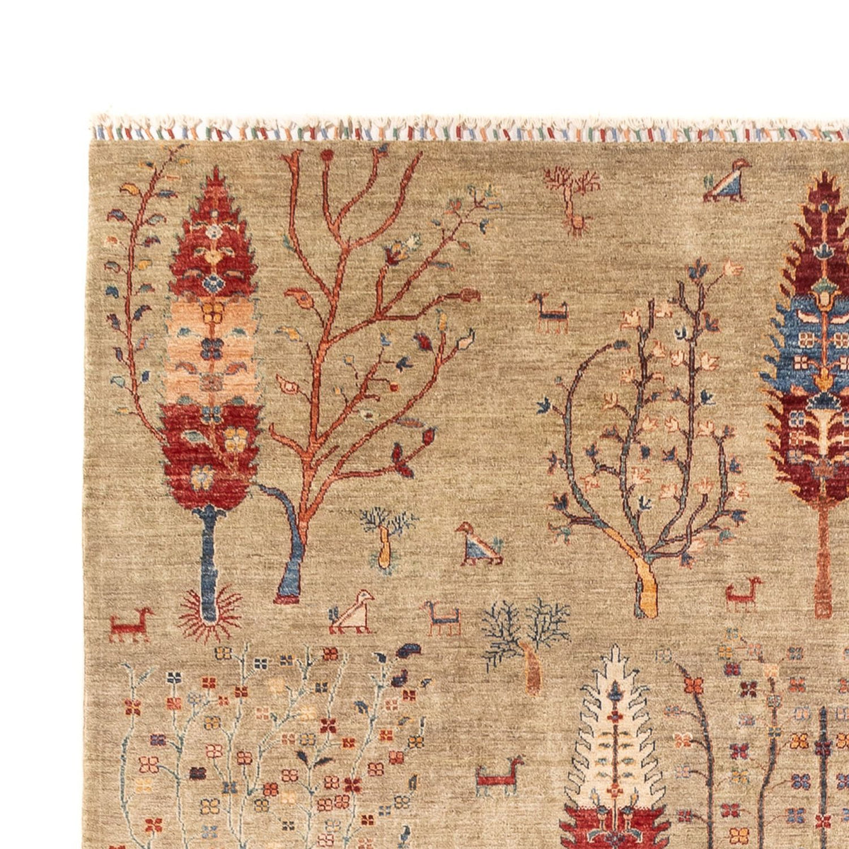 Tappeto Ziegler - Ariana - 342 x 246 cm - sabbia