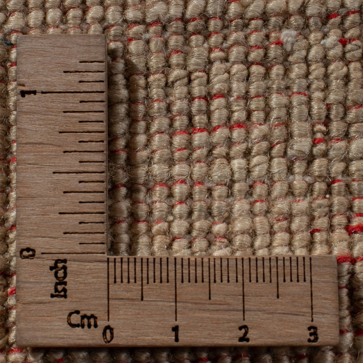 Tappeto Ziegler - Ariana - 342 x 246 cm - sabbia