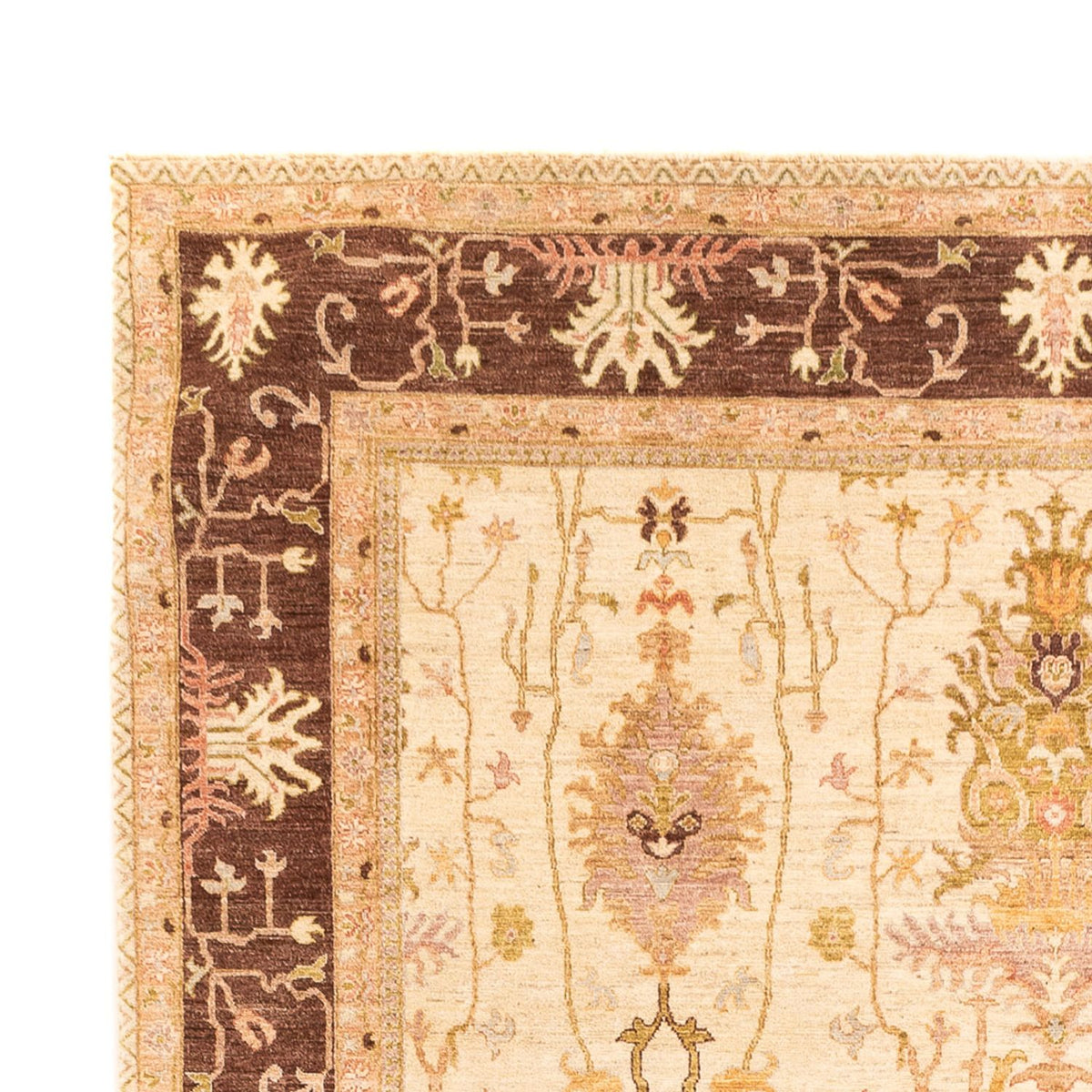 Tappeto Ziegler - Usak - 349 x 246 cm - beige