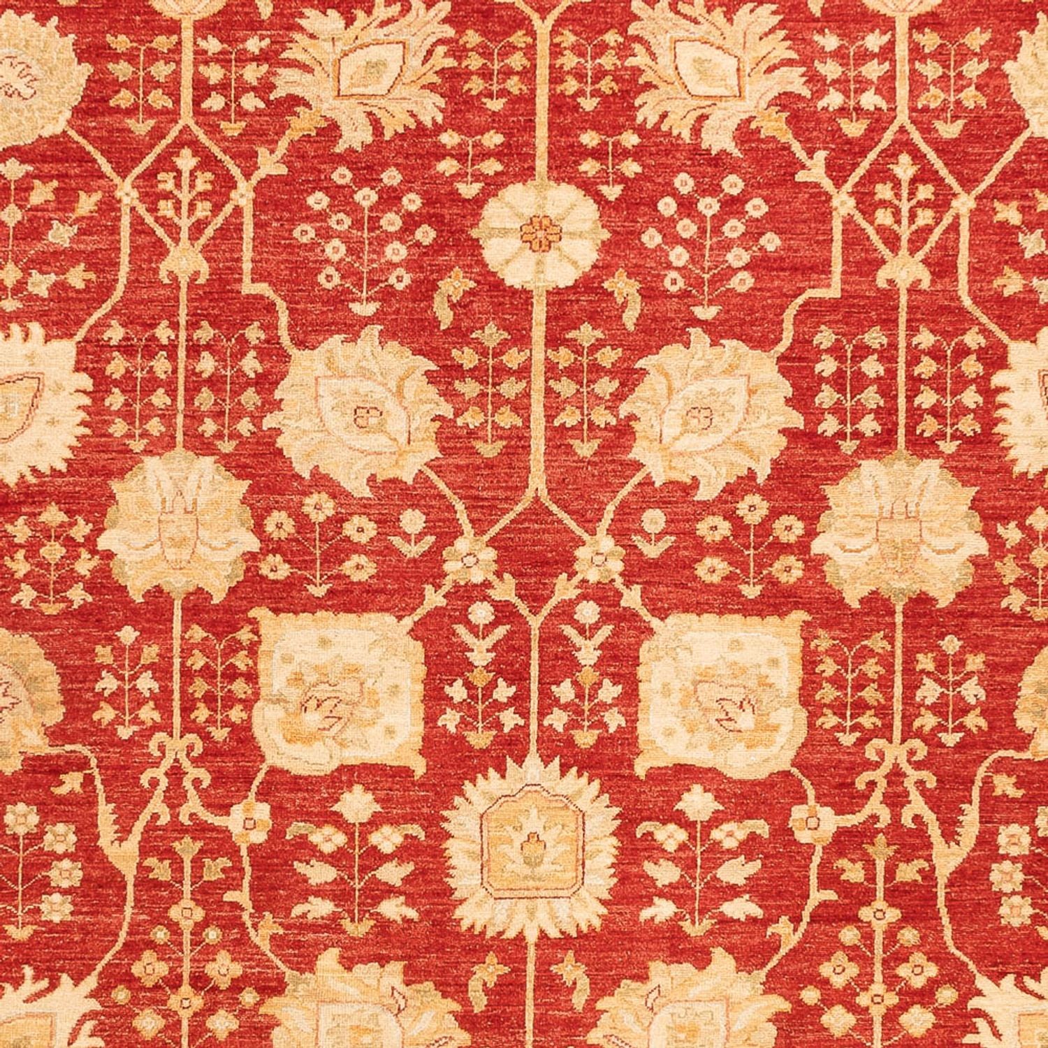 Tappeto Ziegler - 340 x 254 cm - rosso