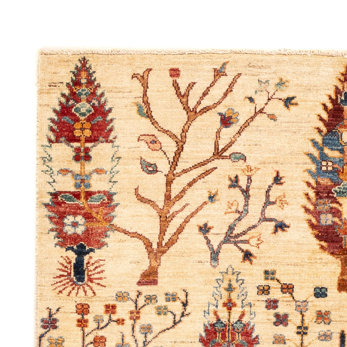 Tappeto Ziegler - Ariana - 178 x 125 cm - beige