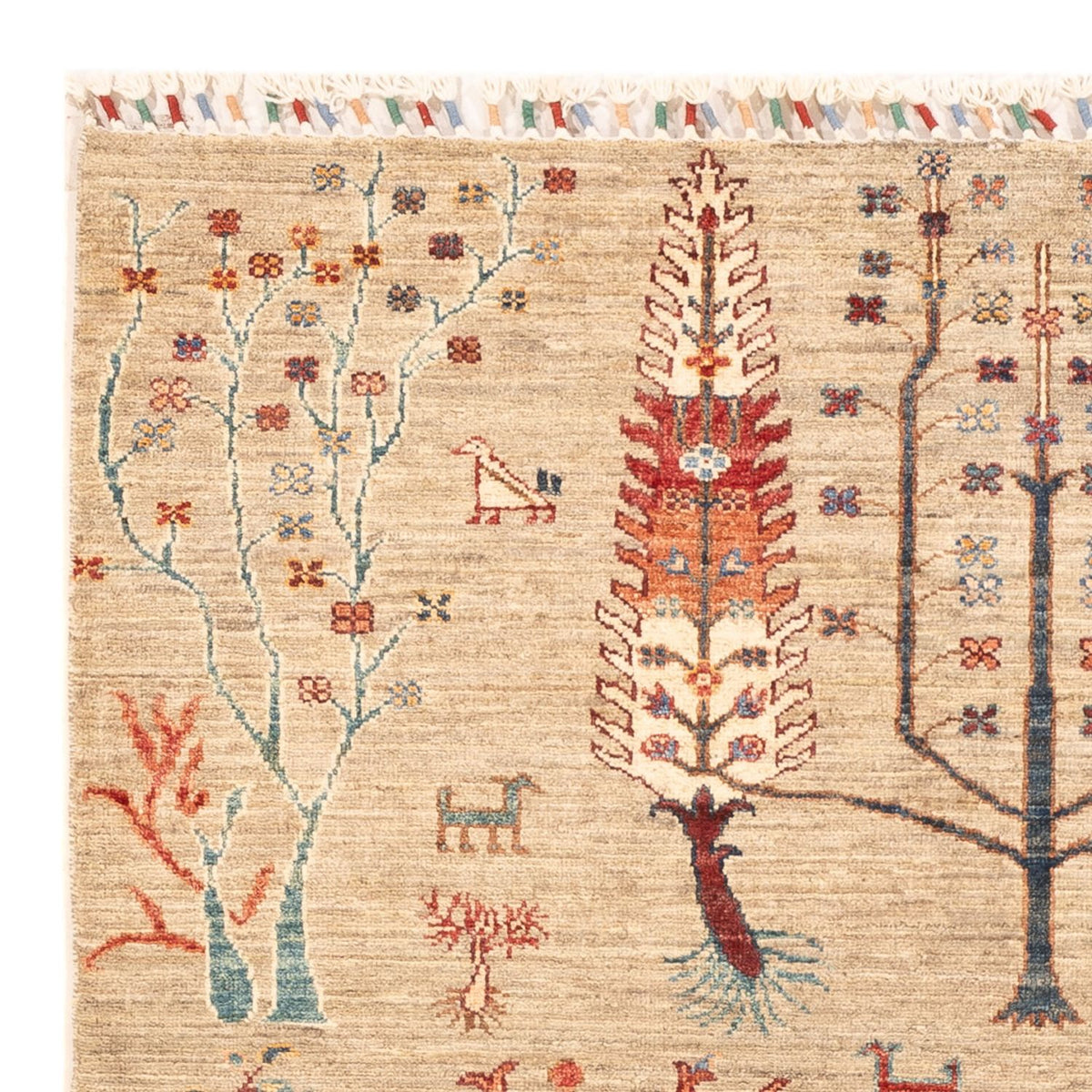 Tappeto Ziegler - Ariana - 178 x 122 cm - beige