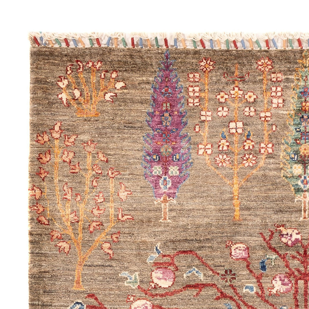 Tappeto Ziegler - Ariana - 180 x 124 cm - beige scuro