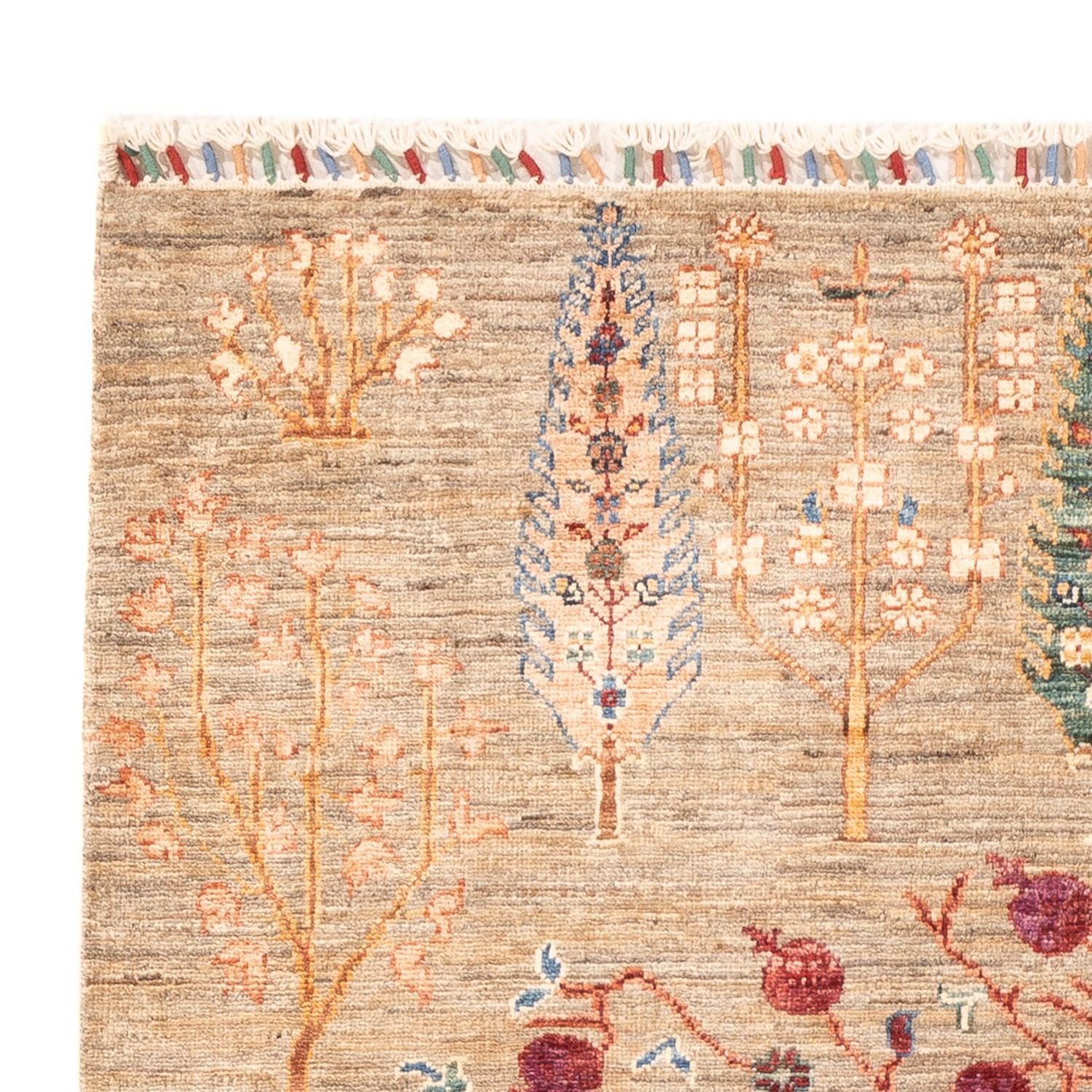 Tappeto Ziegler - Ariana - 177 x 122 cm - beige