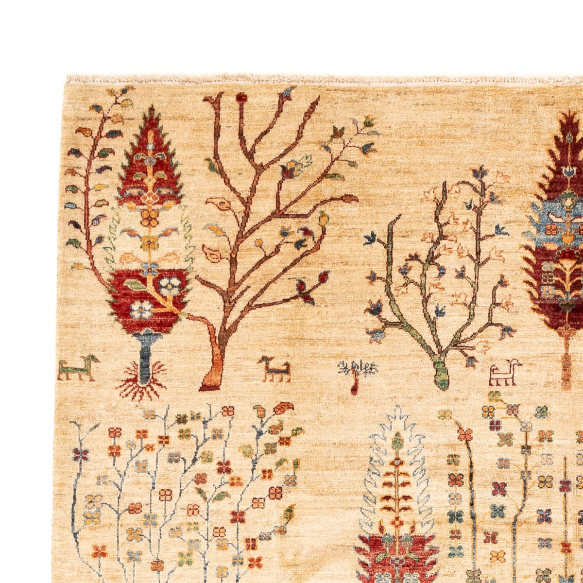 Tappeto Ziegler - Ariana - 299 x 209 cm - multicolore