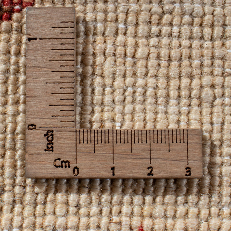 Tappeto Ziegler - Ariana - 299 x 209 cm - multicolore