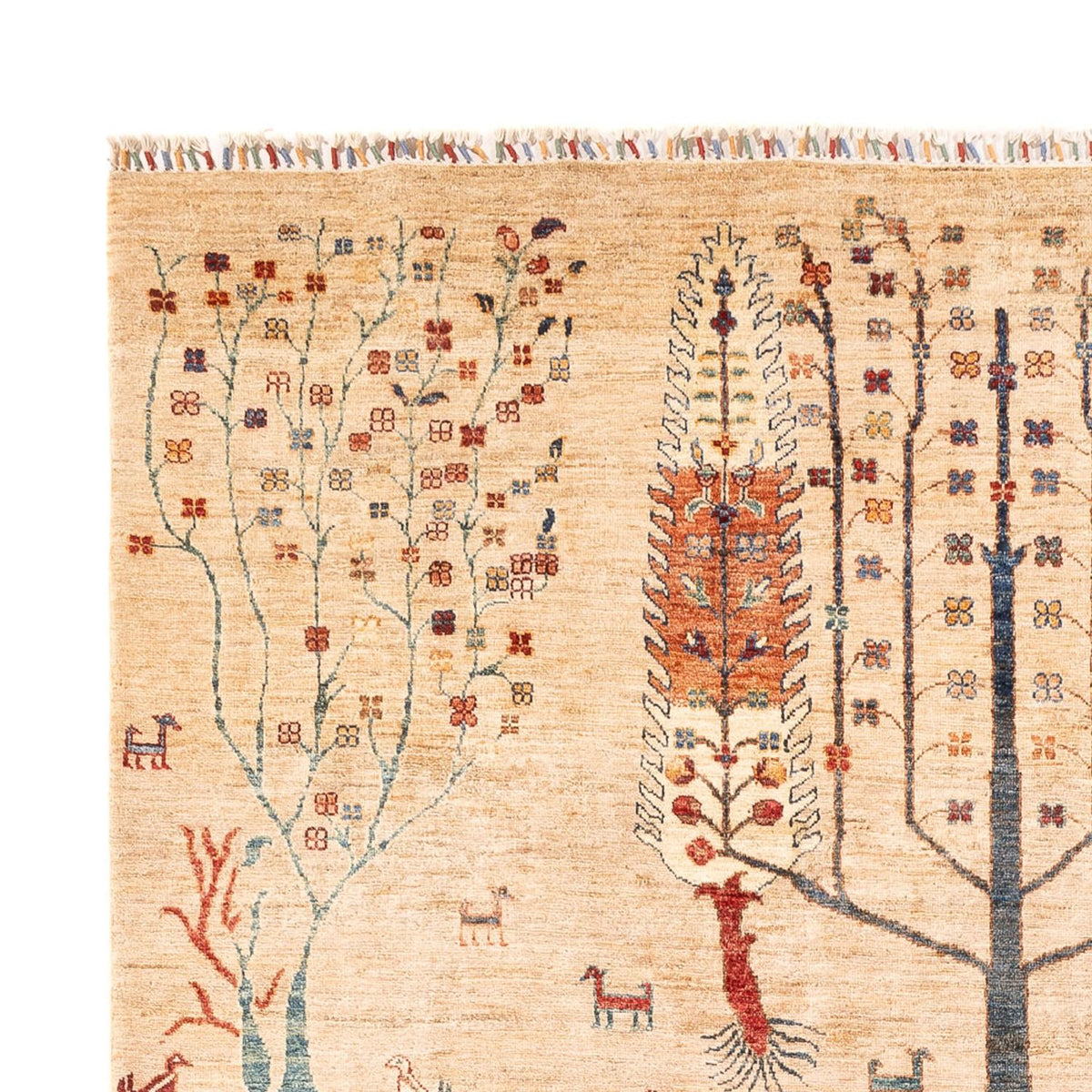 Tappeto Ziegler - Ariana - 303 x 204 cm - beige