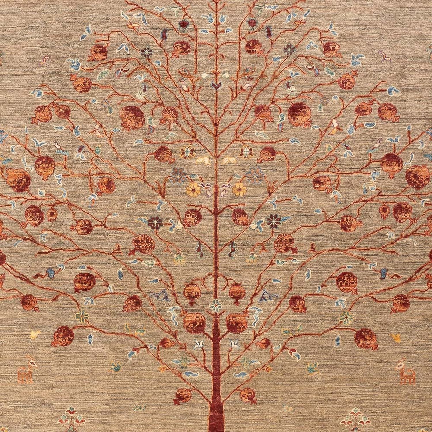 Tappeto Ziegler - Ariana - 302 x 202 cm - beige scuro
