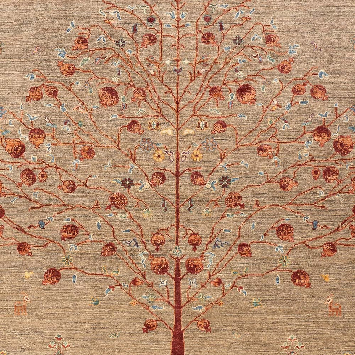 Tappeto Ziegler - Ariana - 302 x 202 cm - beige scuro