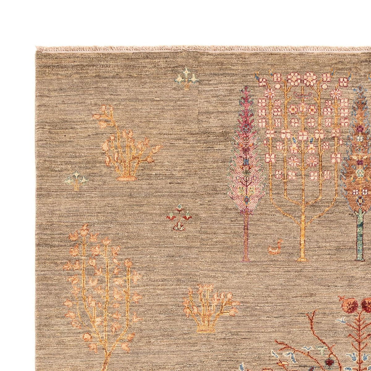 Tappeto Ziegler - Ariana - 302 x 202 cm - beige scuro