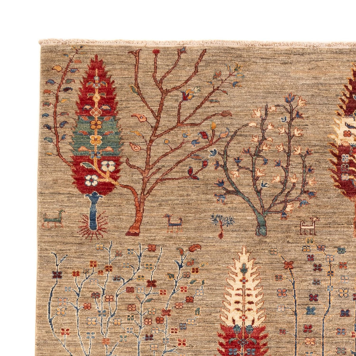 Tappeto Ziegler - Ariana - 291 x 211 cm - beige scuro