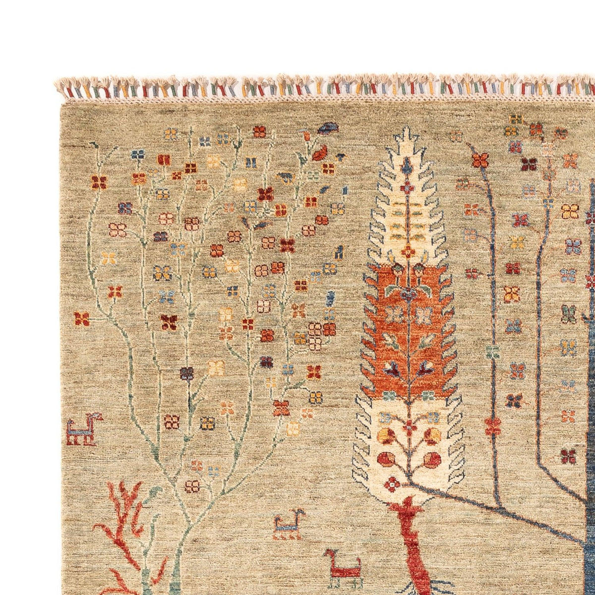 Tappeto Ziegler - Ariana - 299 x 210 cm - sabbia