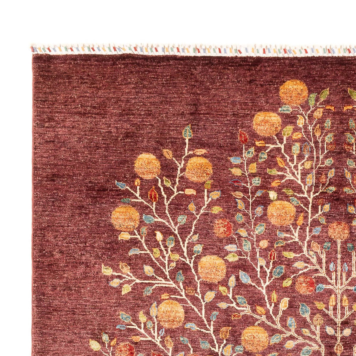 Tappeto Ziegler - Ariana - 300 x 209 cm - viola