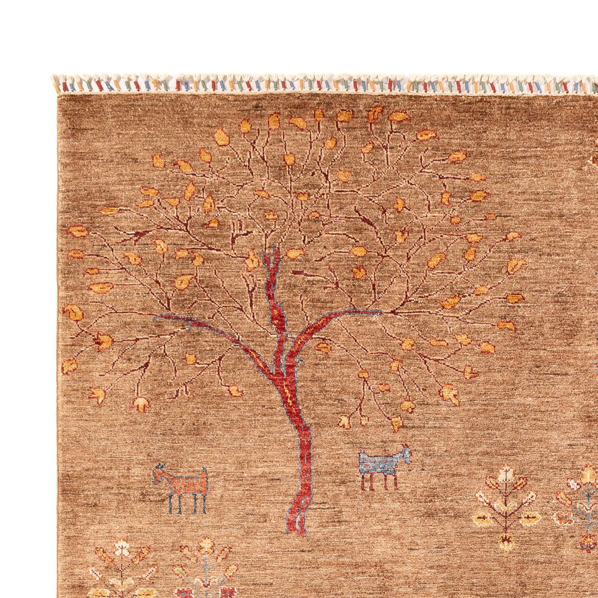 Tappeto Ziegler - Ariana - 298 x 206 cm - beige scuro