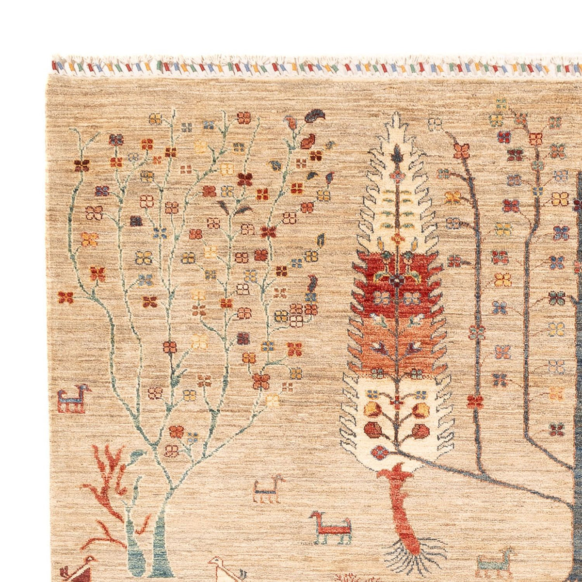 Tappeto Ziegler - Ariana - 285 x 207 cm - beige chiaro