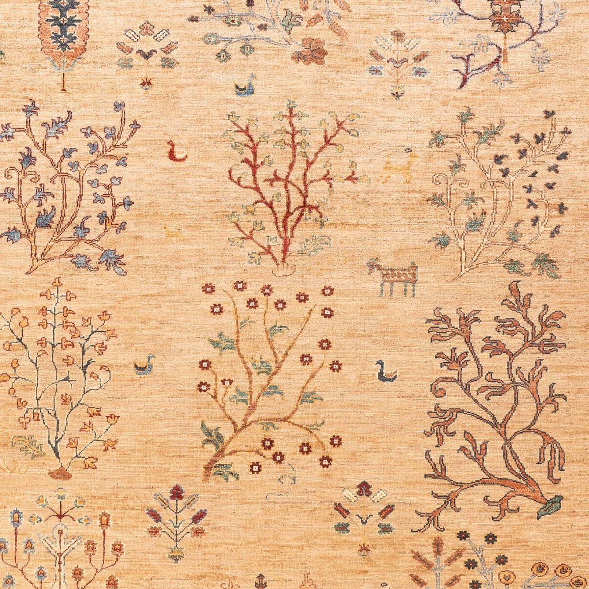 Tappeto Ziegler - Ariana - 293 x 205 cm - beige chiaro