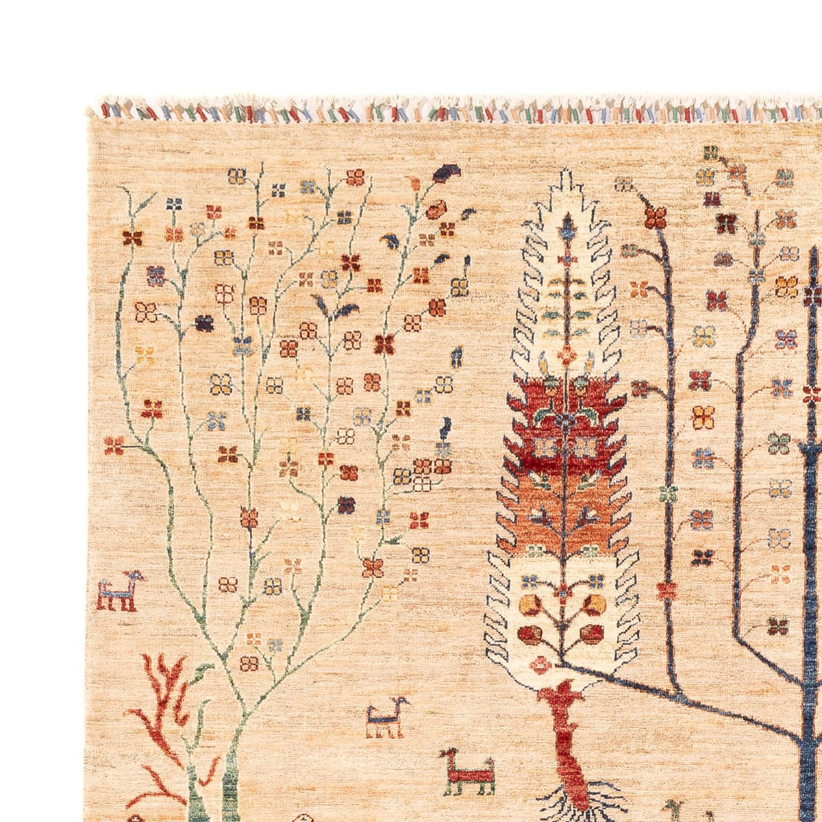 Tappeto Ziegler - Ariana - 290 x 204 cm - beige chiaro