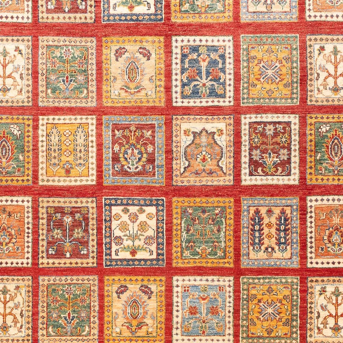 Tappeto Ziegler - Bakhtiari - 239 x 169 cm - multicolore