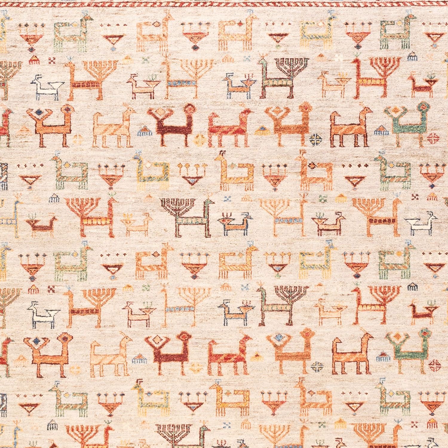 Tappeto Ziegler - Ariana - 300 x 207 cm - rosa
