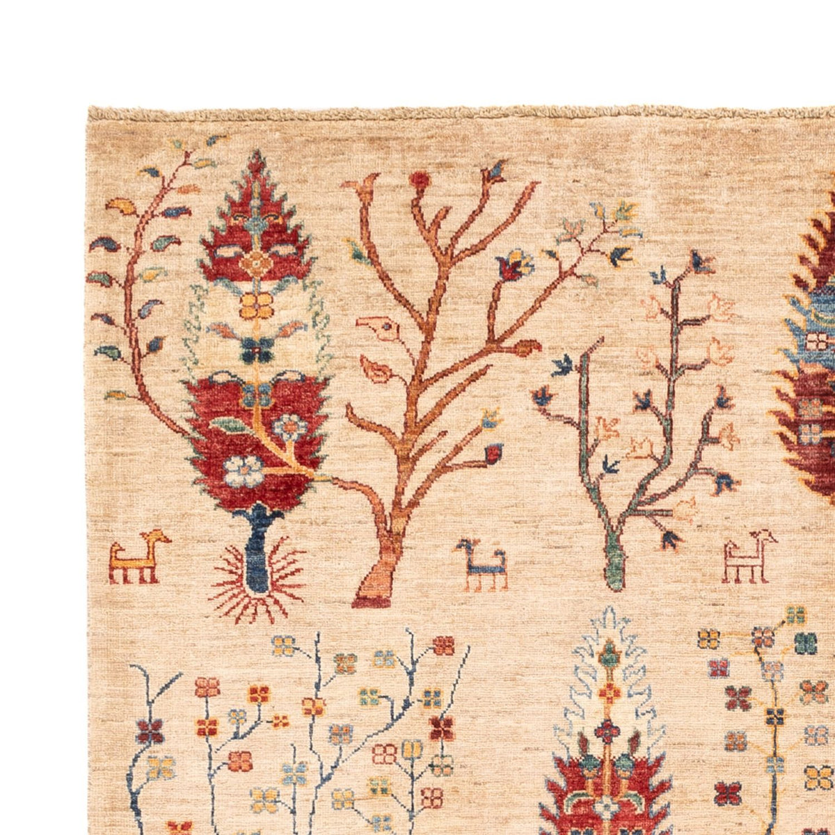 Tappeto Ziegler - Ariana - 246 x 175 cm - beige chiaro