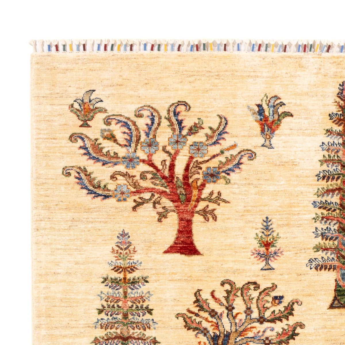 Tappeto Ziegler - Ariana - 238 x 173 cm - beige chiaro