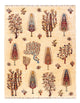 Ariana Tappeto 170x218cm - Tappeto orientale