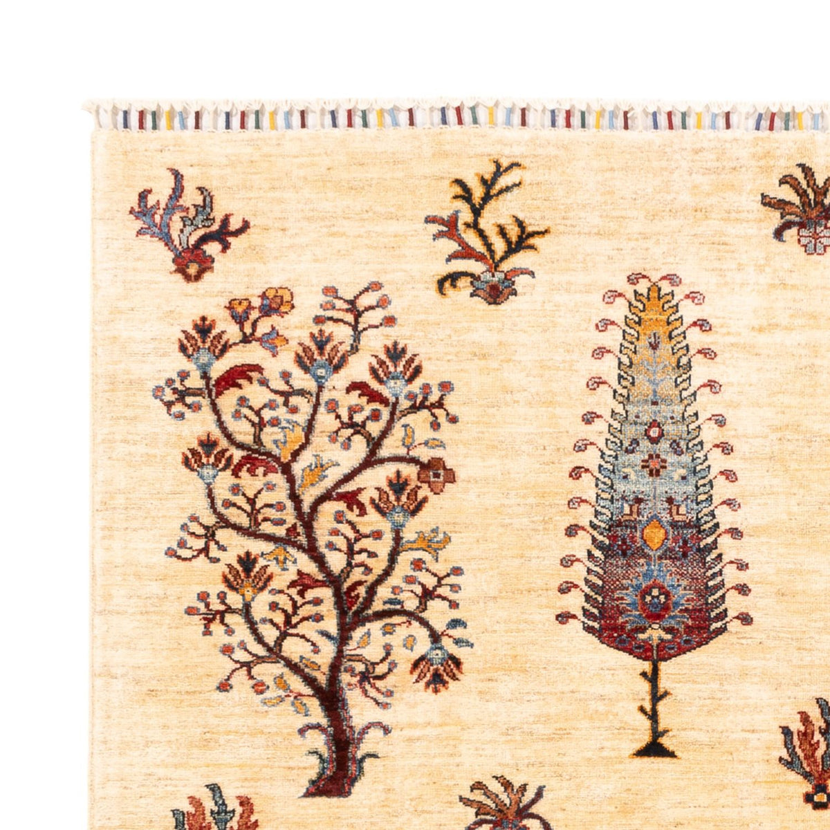 Tappeto Ziegler - Ariana - 218 x 170 cm - beige chiaro