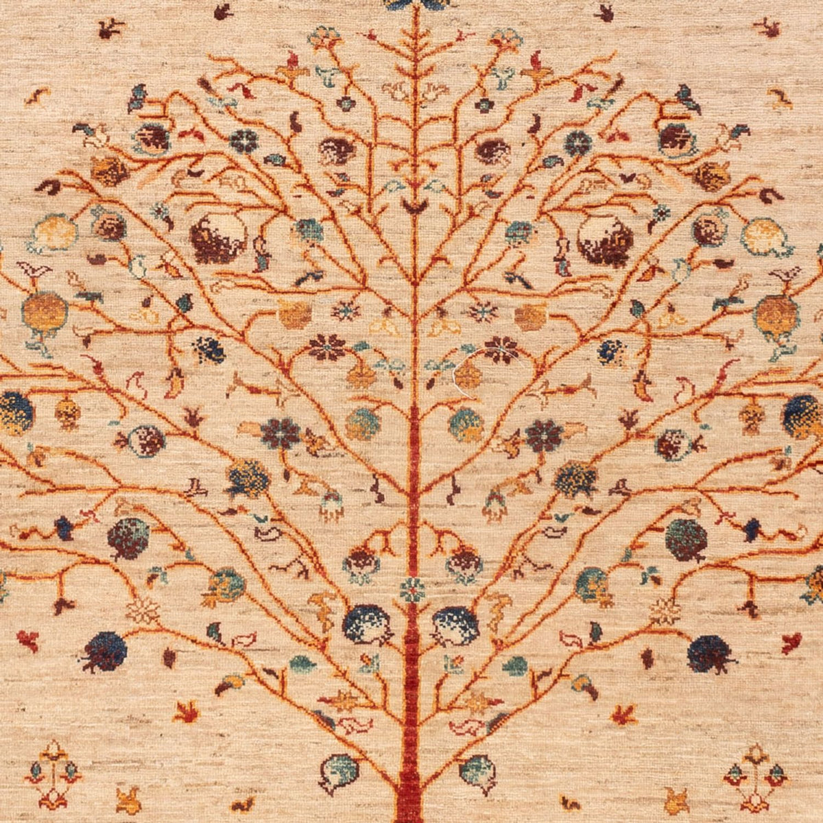 Tappeto Ziegler - Ariana - 246 x 171 cm - beige chiaro